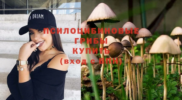 спиды Алексин