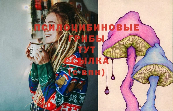 крисы Алексеевка