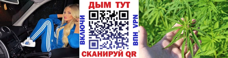 МАРИХУАНА семена  Чайковский 